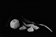 Mandarin and Dead Leaf