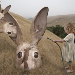 Theory of Reproduction 2009