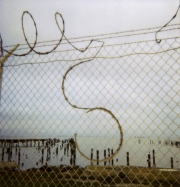 erin_malone_barbedwire