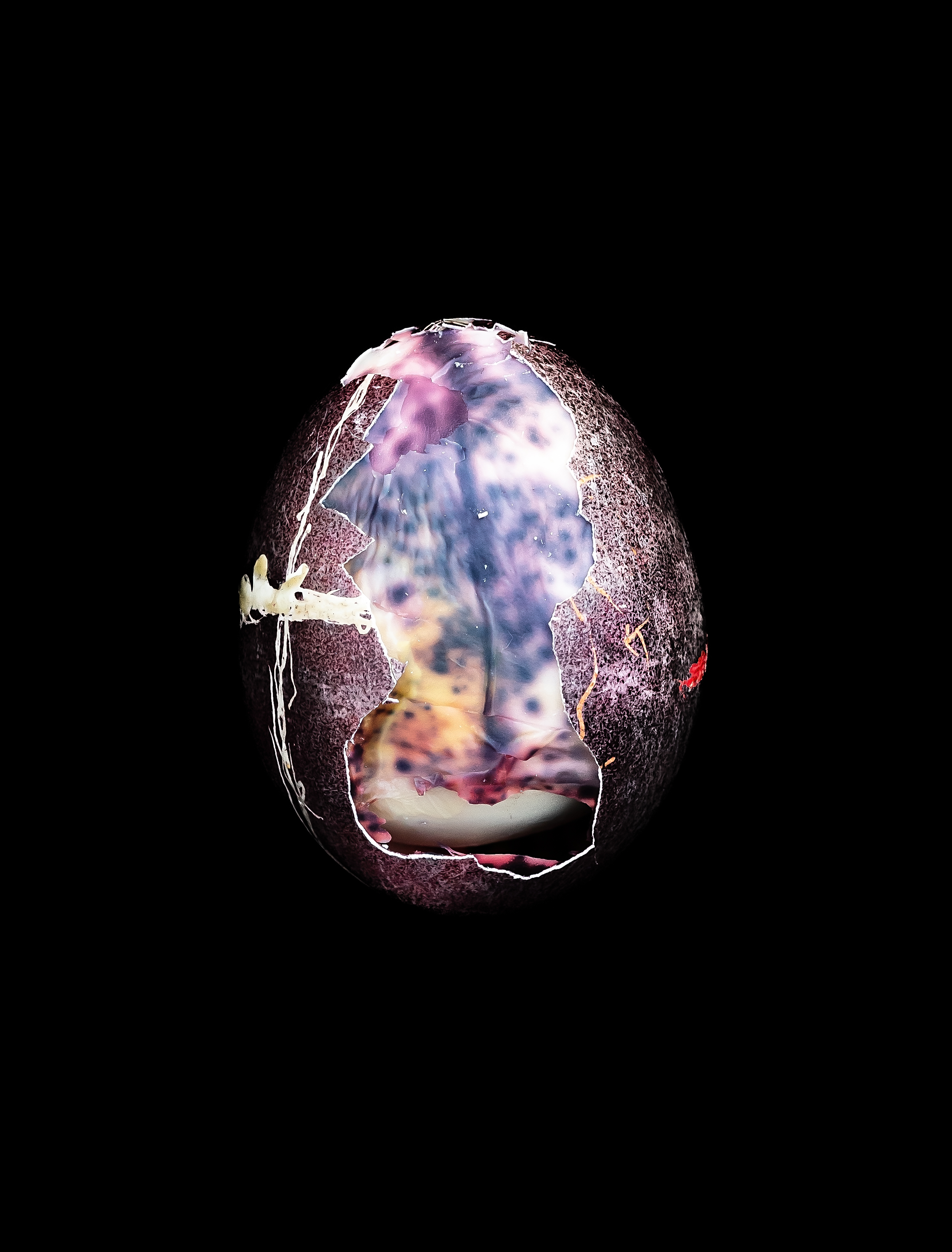 Tree Egg, ©2019 Alison Taggart-Barone