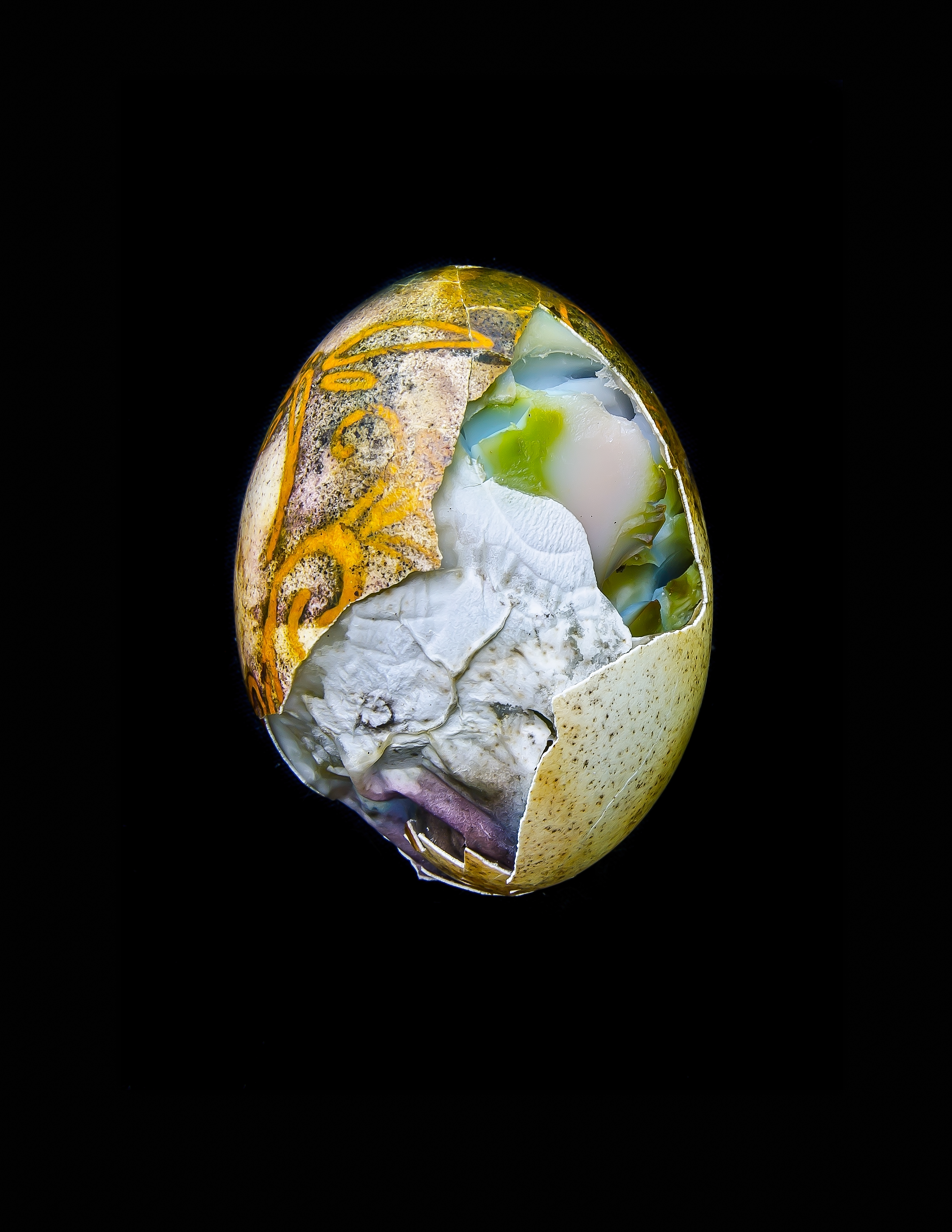 World Egg, © 2012 Alison Taggart-Barone