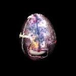 Tree Egg, ©2019 Alison Taggart-Barone