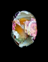 OK_Egg_19A_2011__master