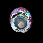 Egg 67, © 2010 Alison Taggart-Barone