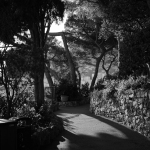 AnastasiiaNelen_CoteDazur_011