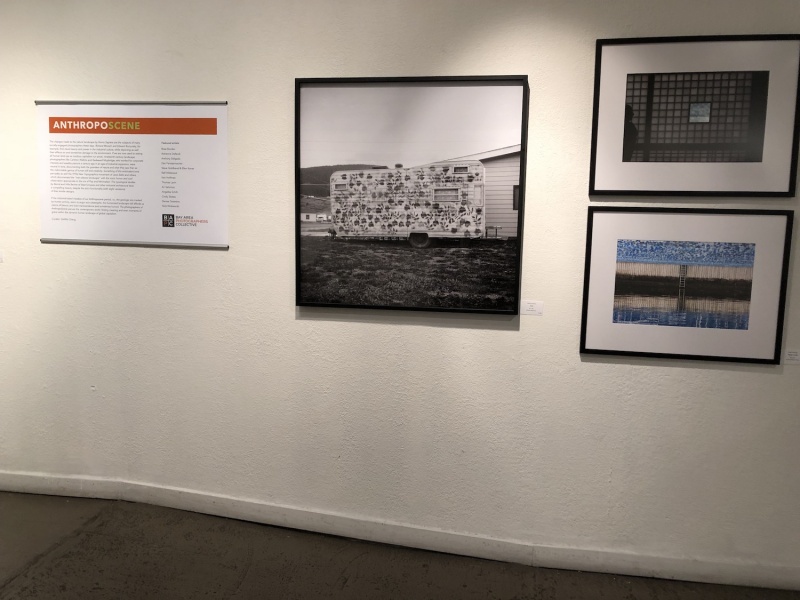 AnthropoScene-installed_3370web