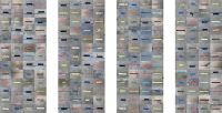 6 Feet Apart, DNA Sequence