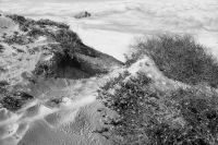 00579-ForjpgFromLatest