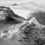 00579-ForjpgFromLatest