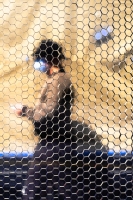 Hexagon-BAPC-1 Hexagon-BAPC-1