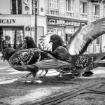 parisreawakens-4
