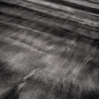 Remnants Remnants