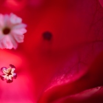 3__EBI8725_Jul-01-2023