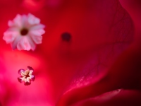 3__EBI8725_Jul-01-2023
