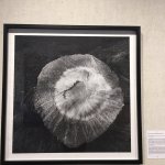 IMG_0476