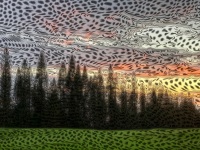 Weather Fronts