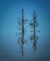 The Beauty of disaster: Fire and flood