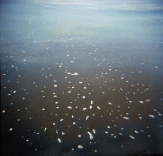 Ocean Bubbles, Angelika Schilli