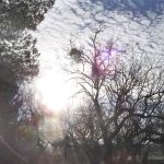 Sunrise - Violet Ray I, Rebecca Chang