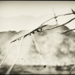 B0017793-Edit-Edit-Edit-Edit
