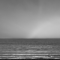 Fertile Ground #10