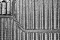 Hoops-with-Road-Jog_DJI_0465