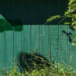 green-1