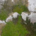 Continental Drift