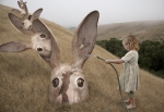 Theory of Reproduction One, 2009