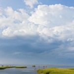 Summer Storm