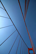 41_DeborahDLattimore_79EC0.jpg
