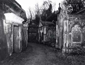 42_GloriaUpchurch_Ama7CB7E.jpg