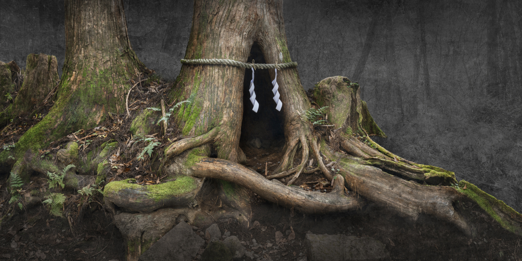 Koji Murata_Dialogue with the Spirit of Trees